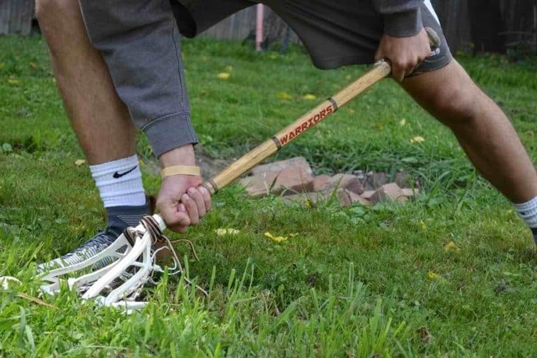 How To Scoop A Lacrosse Ball Lacrosse Ground Ball Drills