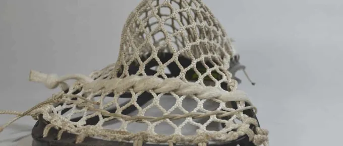 epoch otter mesh1