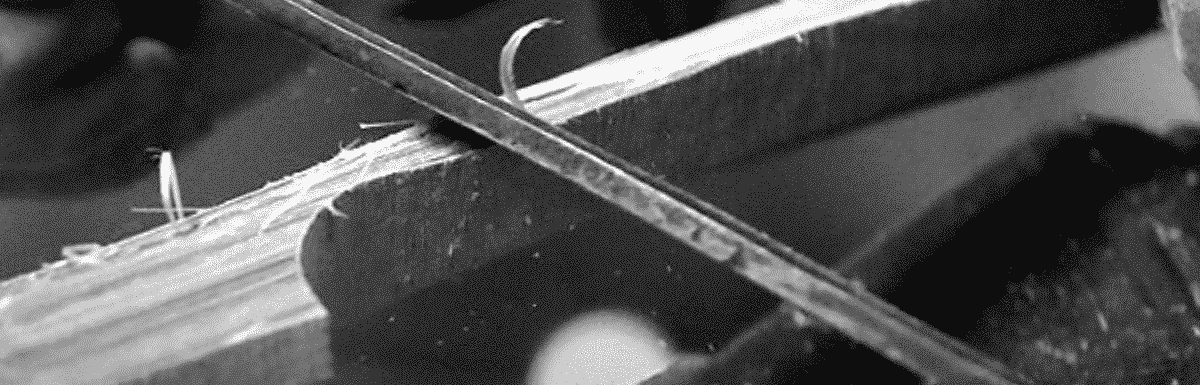 learn the history of lacrosse