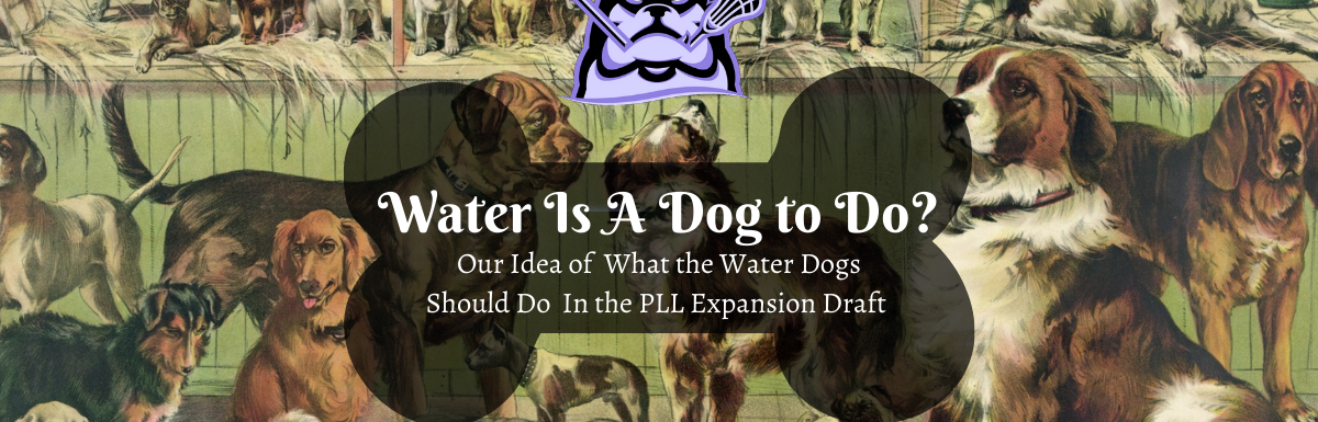 water is a dog to do? pll expansion draft