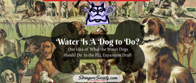 water is a dog to do? pll expansion draft