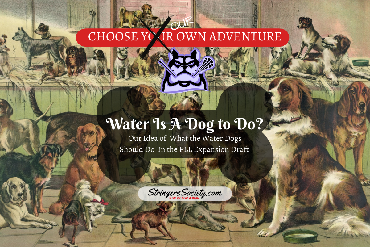 water is a dog to do? pll expansion draft