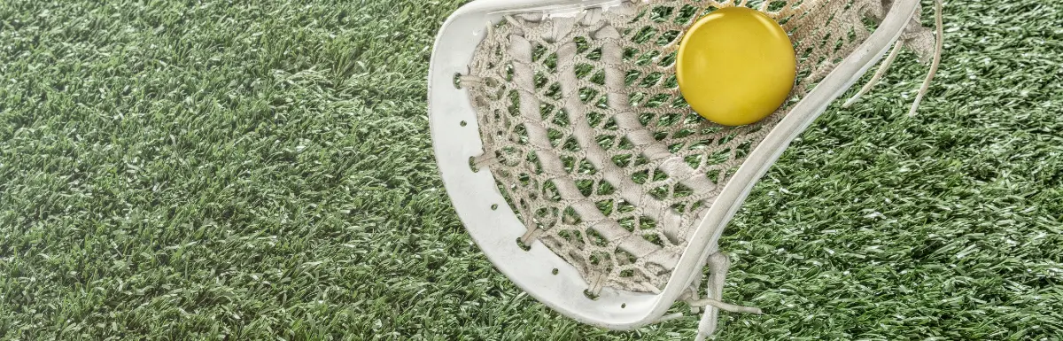 lacrosse ball case