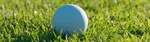 Lacrosse Balls